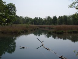 Bild026